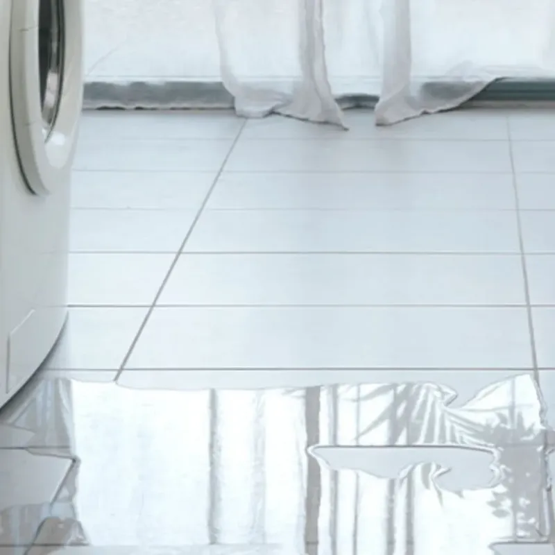 Appliance Leak Cleanup in DeKalb County, MO