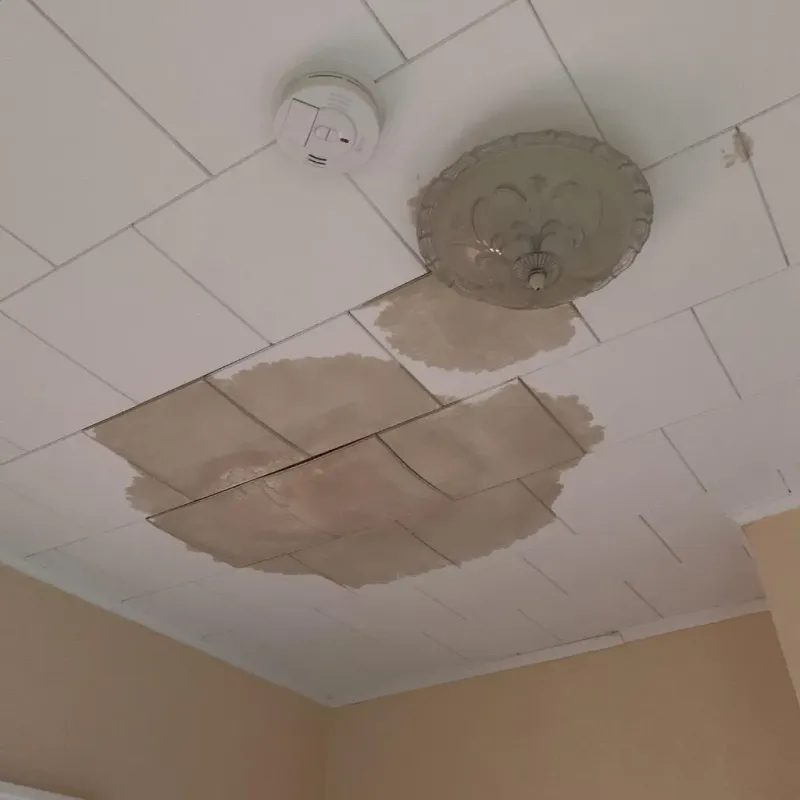 Ceiling Water Damage Repair in DeKalb County, MO