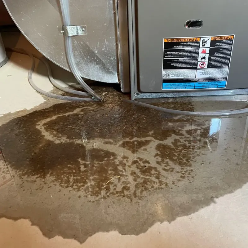 Pipe Burst and Leak Restoration in DeKalb County, MO