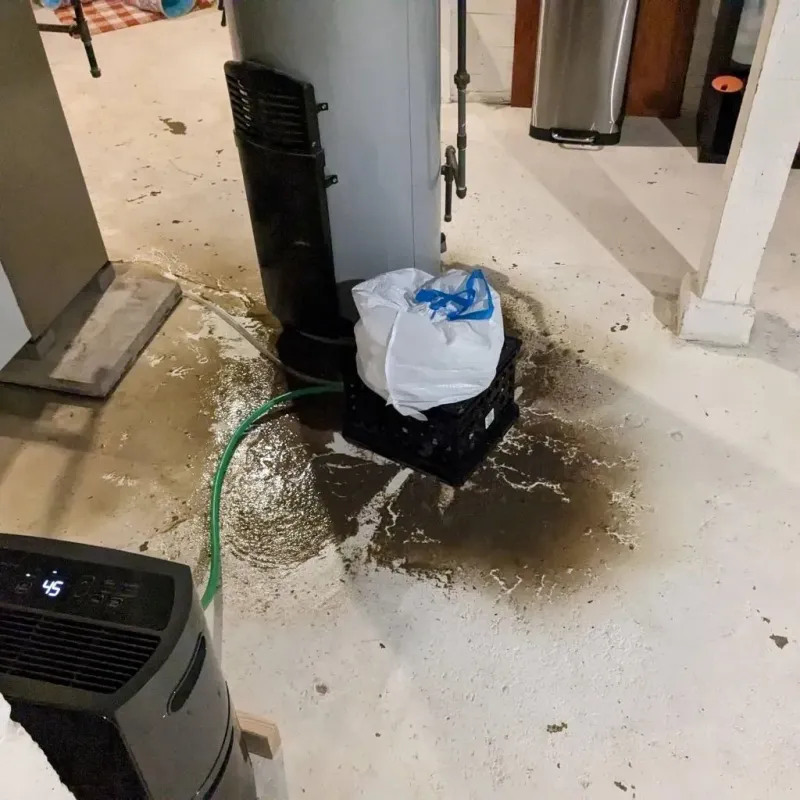 Sewage Backup Cleanup Service in DeKalb County, MO